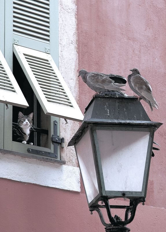 开云注册-中国女篮展望新周期 目标锁定世界前三，中国女篮近期