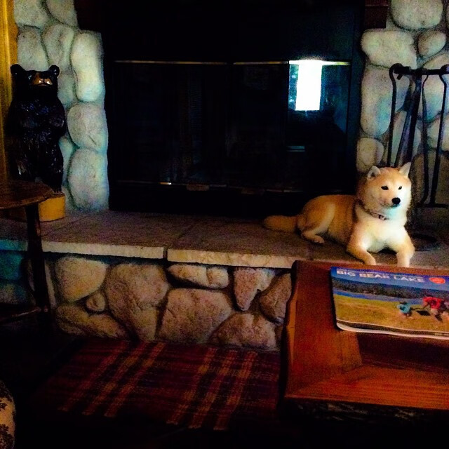 kaiyun电竞-世界杯激情逐鹿：点燃全球的足球盛宴，世界杯足球精彩集锦