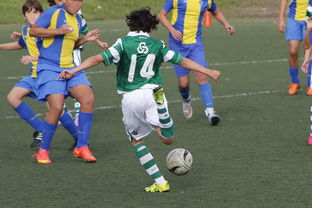 开云真人体育娱乐-中国足球亚冠：上海申花逆转晋级，燃爆现场热潮，亚冠小组赛上海申花